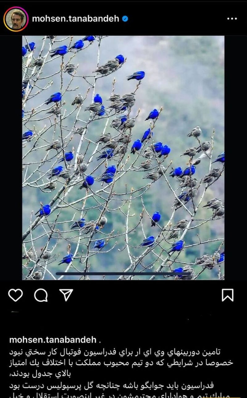 محسن تنابنده