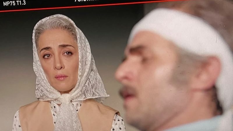 دلنوشته عاشقانه پانته‌آ پناهی‌ها برای بابک حمیدیان سوژه شد 