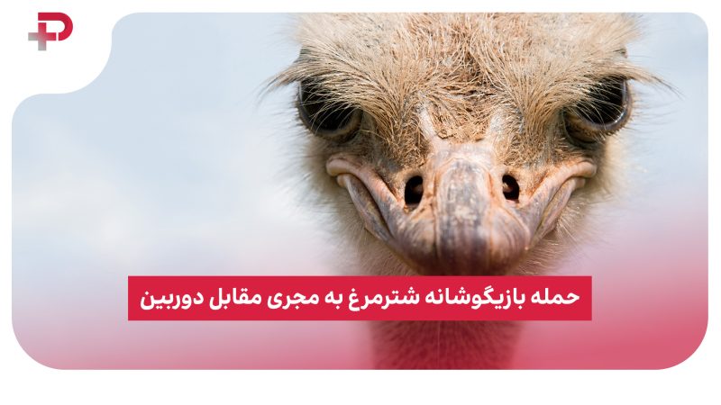 حمله بازیگوشانه شترمرغ به مجری مقابل دوربین! 