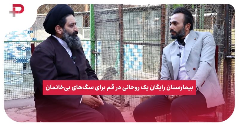 بیمارستان رایگان یک روحانی در قم برای سگ‌های بی‌خانمان 
