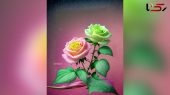 تعبیر فال روزانه 23 مرداد چه می گوید؟