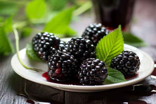 این میوه مخصوص زنان است/ سرطان را با این میوه تابستانی فراری دهید 