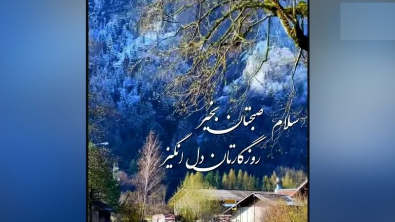 تعبیر فال ابجد 23 مرداد/ فال ماه تولد شما چه می گوید؟ 